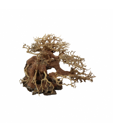 Natural Color Aquarium Decorative Natural Bonsai Driftwood Tree- 15-20cm (pc)